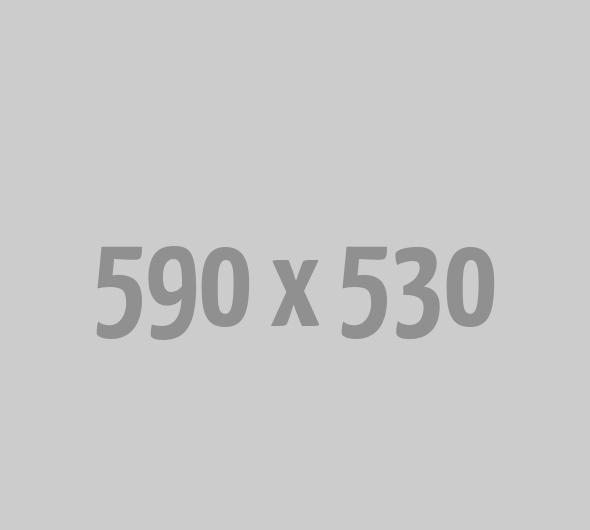590x530
