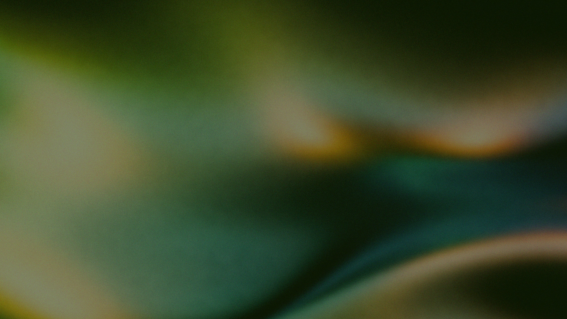 Landing_page_BG_1470x829px