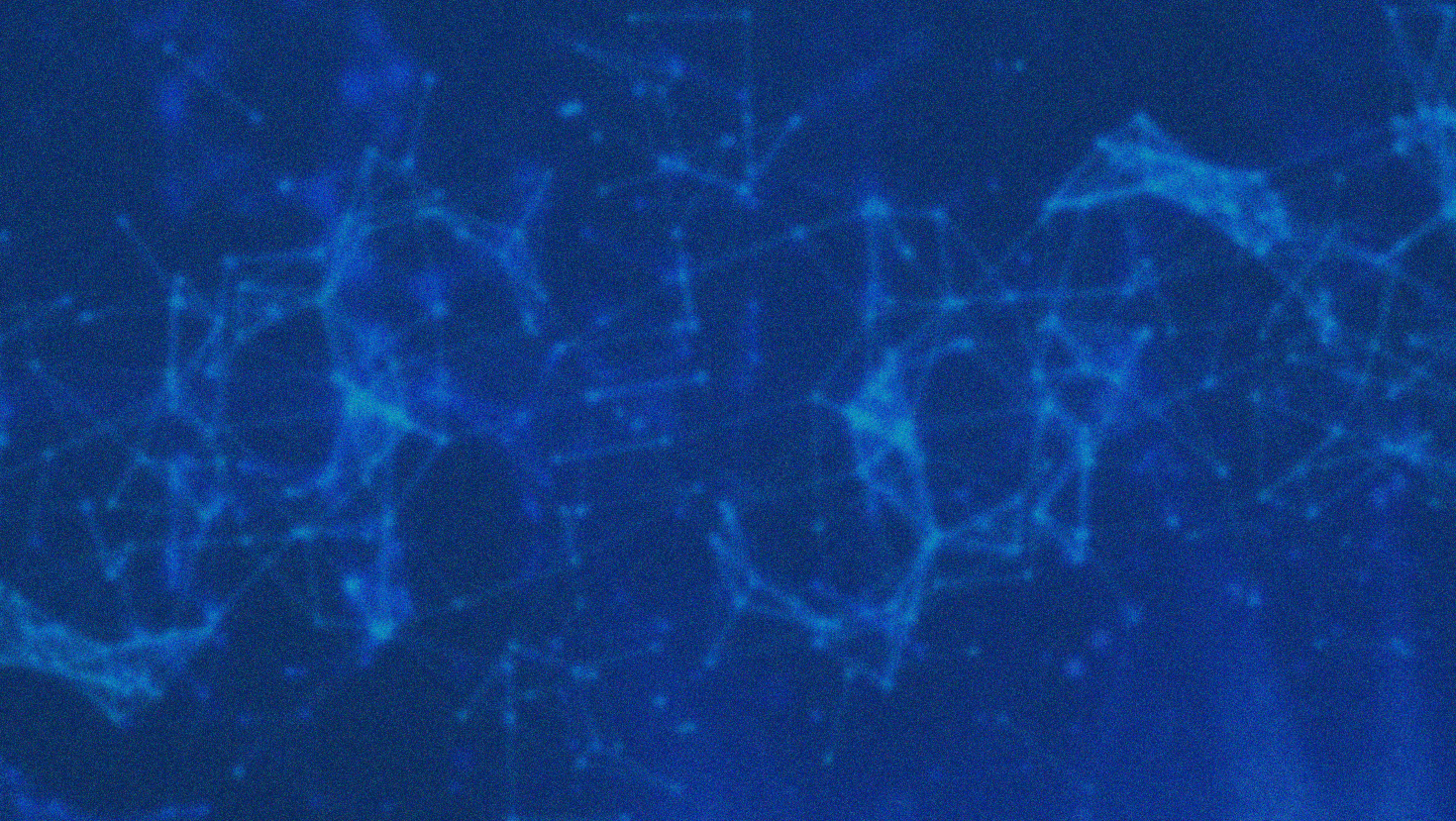 Landing_page_BG_Landing_Page_BG_1470x829px