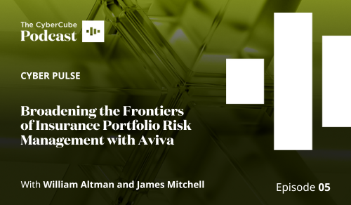 broadening the frontiers of cyber insurance portfolio risk mangement