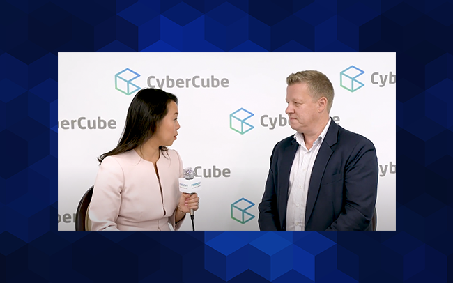 image preview for The increasing importance of cyber security for society | Darren Thomson | Foresight 2019